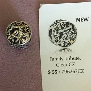 Pandora Family Tribute Charm New